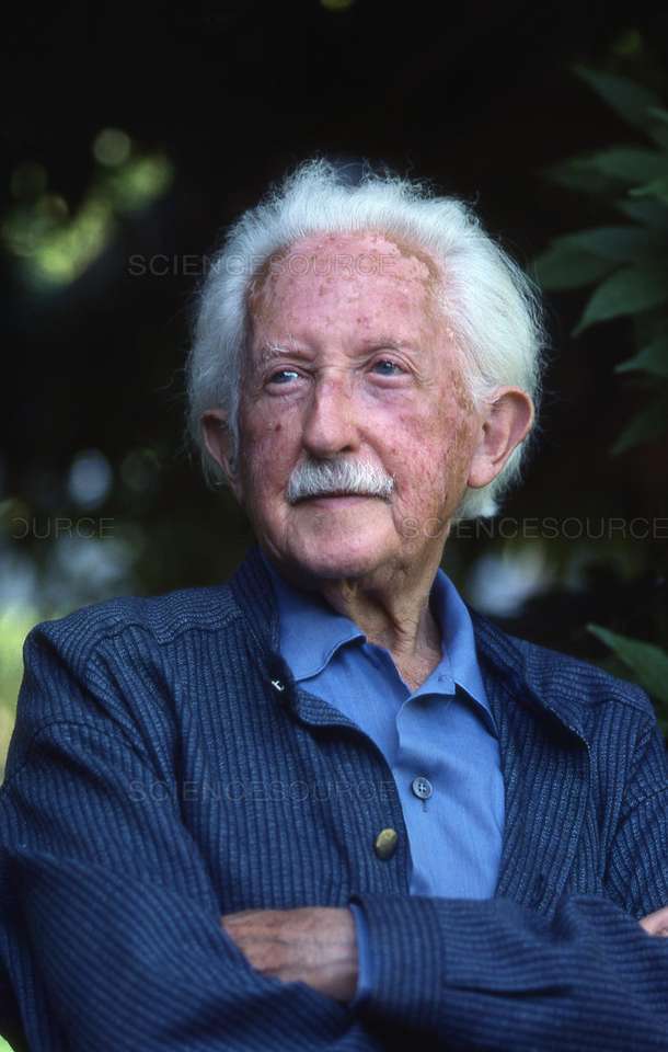 erik erikson